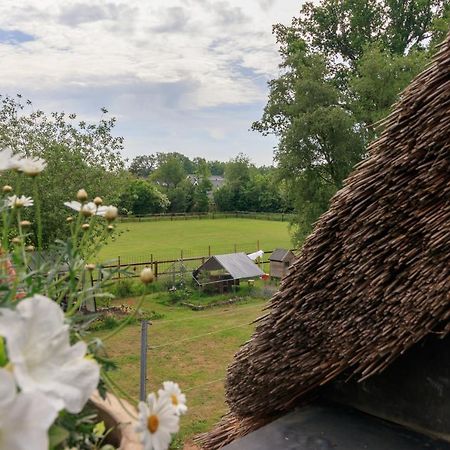 Het Grote Paard Apartment Havelte Luaran gambar
