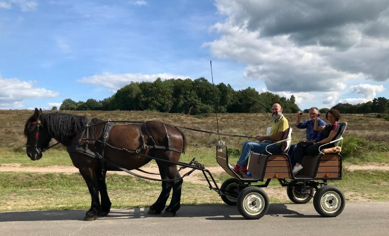 Het Grote Paard Apartment Havelte Luaran gambar