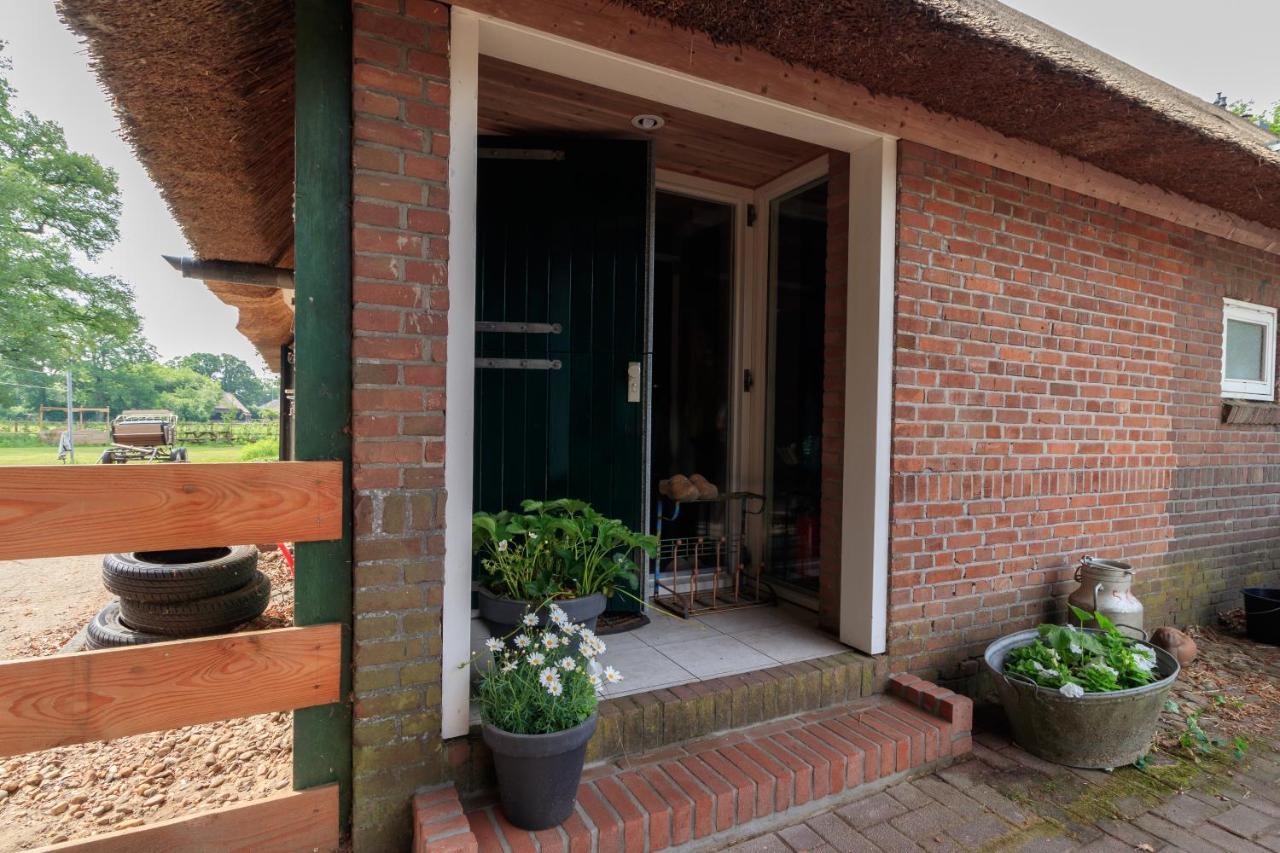 Het Grote Paard Apartment Havelte Luaran gambar