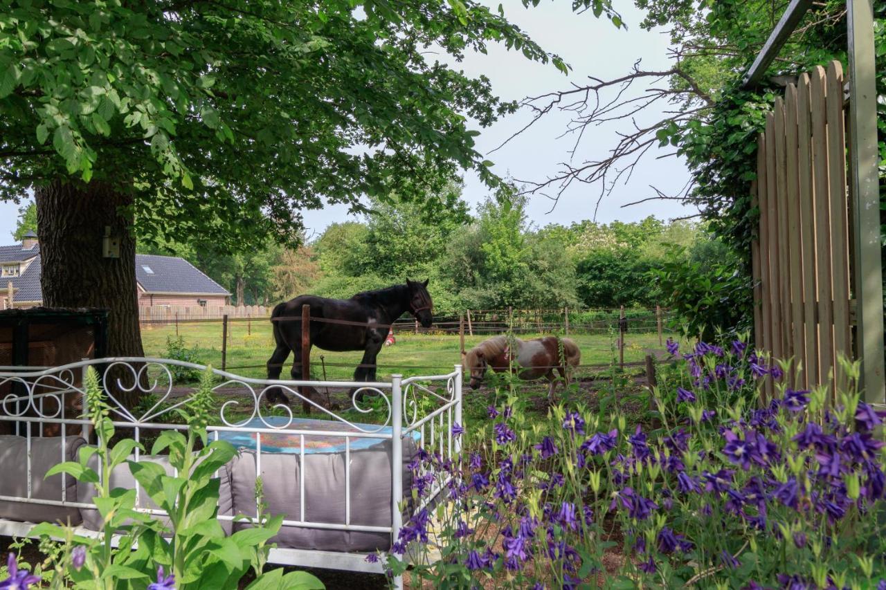 Het Grote Paard Apartment Havelte Luaran gambar
