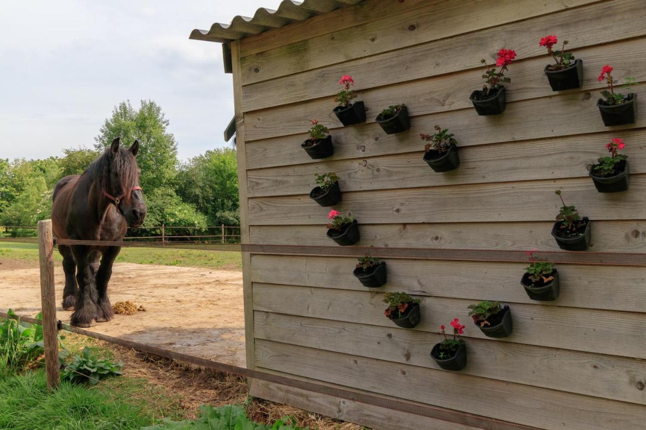Het Grote Paard Apartment Havelte Luaran gambar